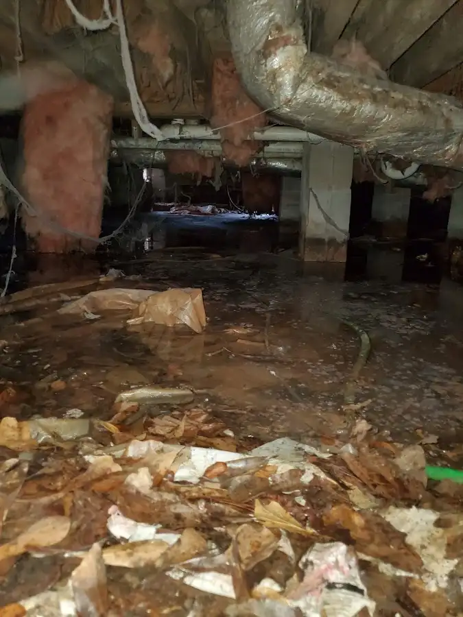 Crawl space flood assessment for Commercial Water Damage Restoration in Naperville