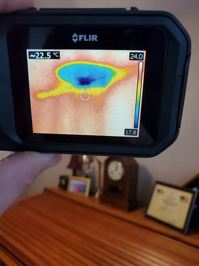 Thermal imaging inspection for water damage in Naperville